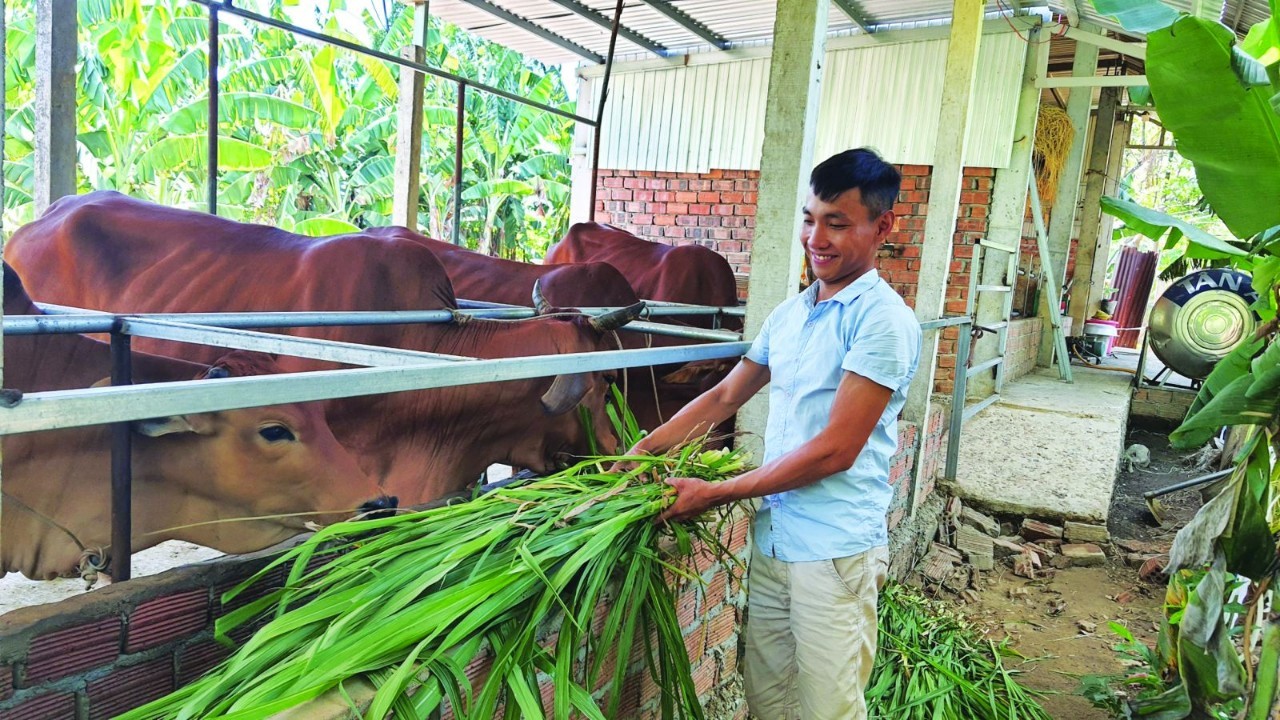 PHÁT HUY HIỆU QUẢ NGUỒN VỐN VAY TỪ NGÂN HÀNG CHÍNH SÁCH XÃ HỘI TRONG CÔNG TÁC PHÁT TRIỂN KINH TẾ TẠI XÃ EA KÊNH