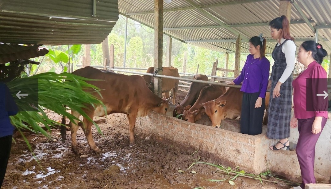 Hội LHPN xã Ea Kênh đẩy mạnh công tác kiểm tra, giám sát vốn vay ủy thác từ Ngân hàng Chính sách xã hội